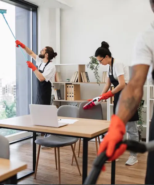 Dusting & Surface Cleaning